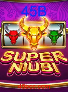 SuperNiubi